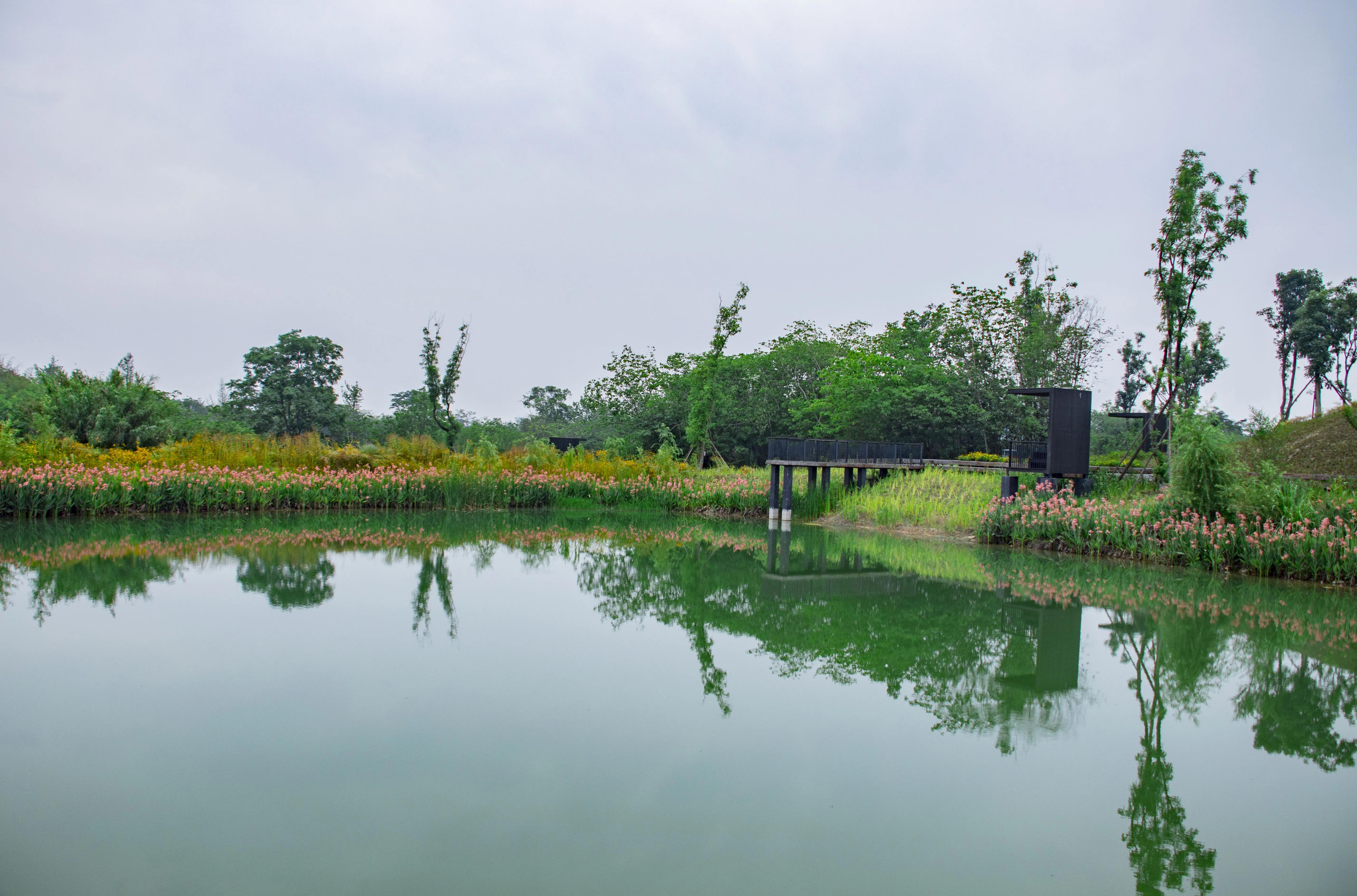 龙泉十陵航拍,龙泉驿区十陵