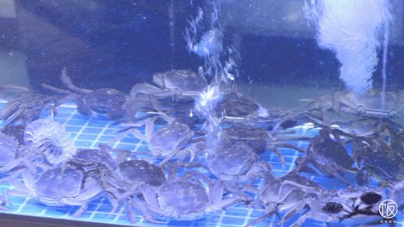 loft风的mall有够酷,心水美食“大咖”都来了