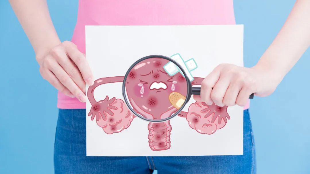 假如女性没有子宫，会怎样？