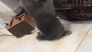 为啥加油站月薪两千还没人辞职,加油站上班工作强度大吗累吗