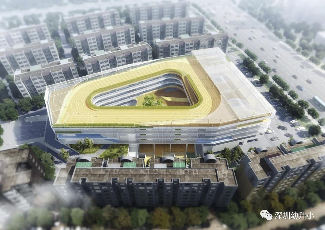 深圳top10学校,深圳初中十大名校排名