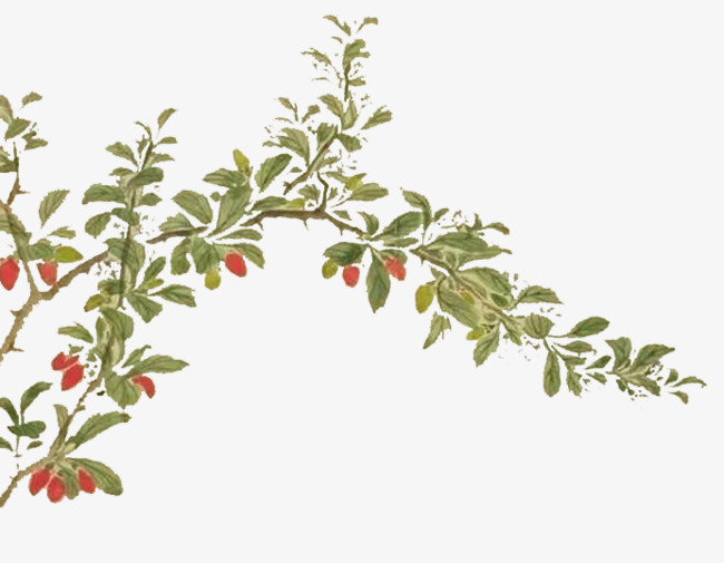 喝这6种花粥能美容养颜,适合春天的十种粥配方