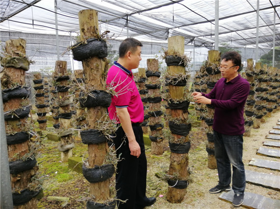 深圳华盛农业现状,华盛现代生态农业