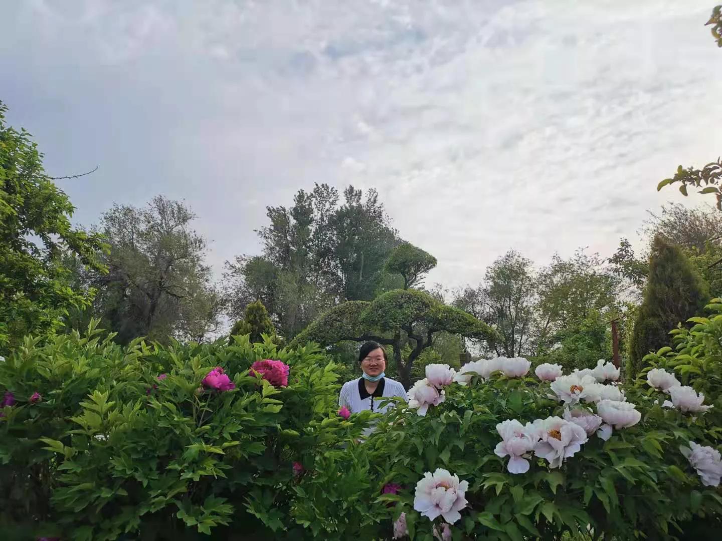 天山森林公园门票,天山森林公园风景