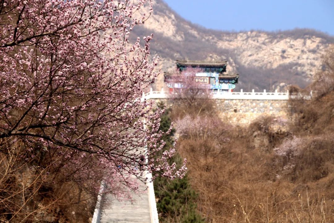 北京4月踏青的地方丰台区有哪些,丰台踏青好去处