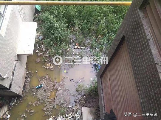 娃都受不了这味儿躲开了！楼下化粪池积水味道刺鼻小区居民苦不堪言