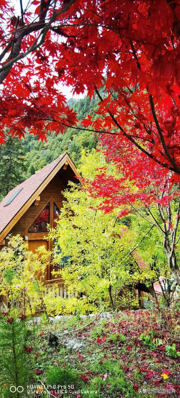 川西古尔沟～看到你之后只剩赞美！我好想去泡你