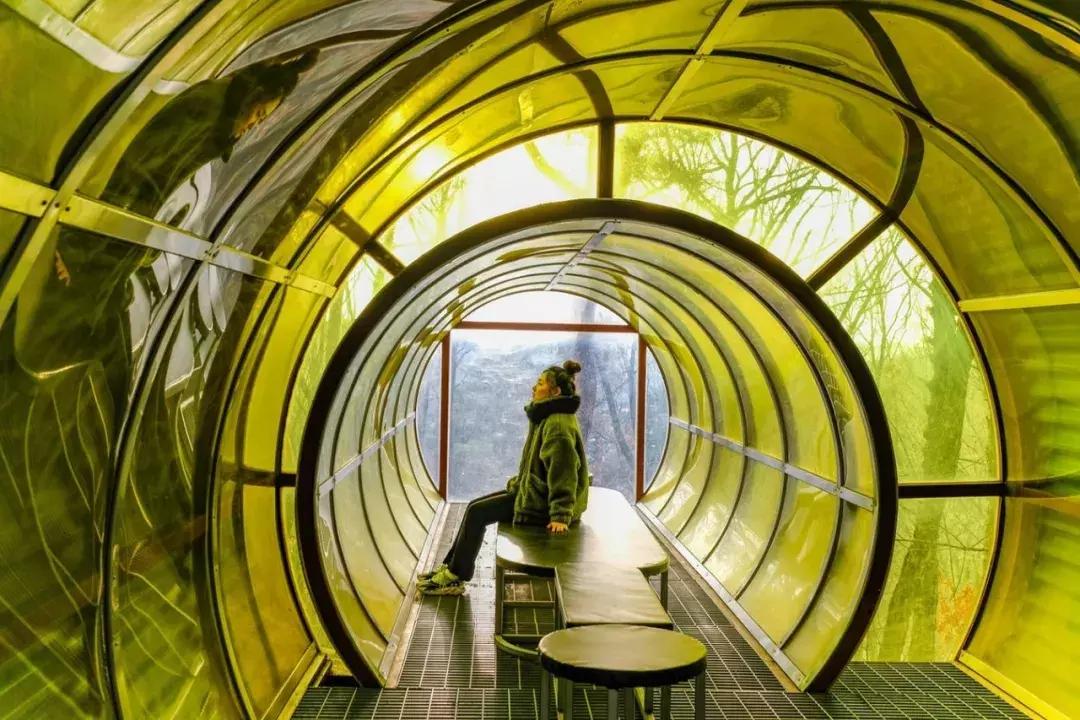 9月值得一读的书,8月最受欢迎的18本好书你读过几本