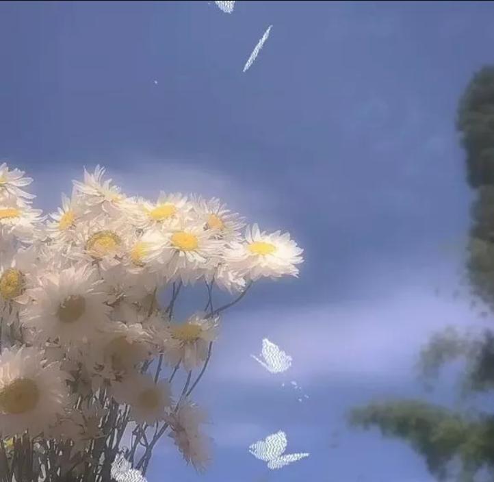 我很想你但我不会再找你了图片,我很想你但不会找你