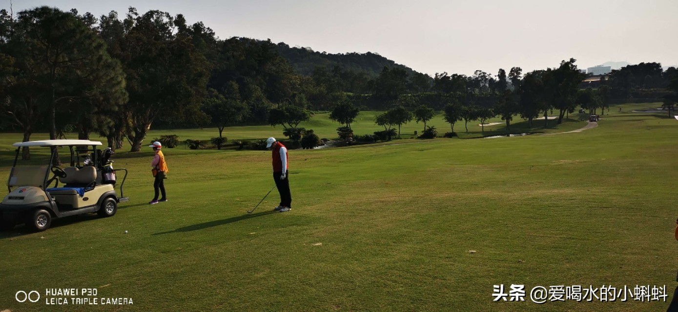 高尔夫球规则及玩法,4分钟了解高尔夫球怎么玩