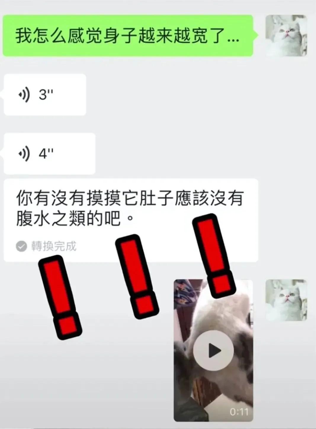 猫抓了有红点是怎么回事,猫轻咬了一下手上起了一个红点