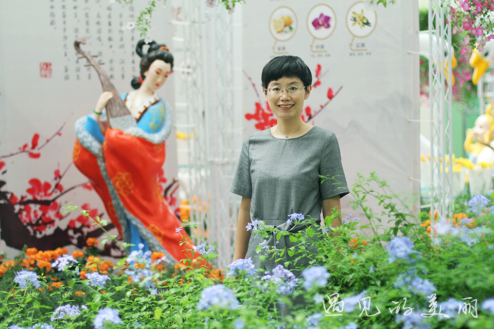 百万葵园有多坑,百万葵园免门票