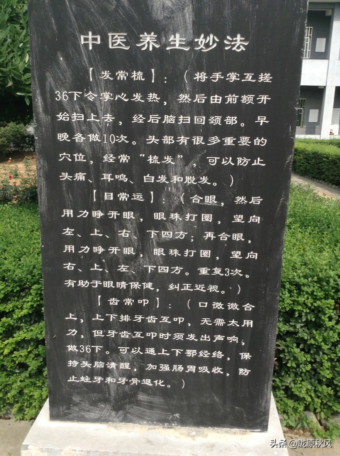 西安兵马俑和大唐不夜城旅游攻略,古都西安兵马俑与大唐芙蓉园一角