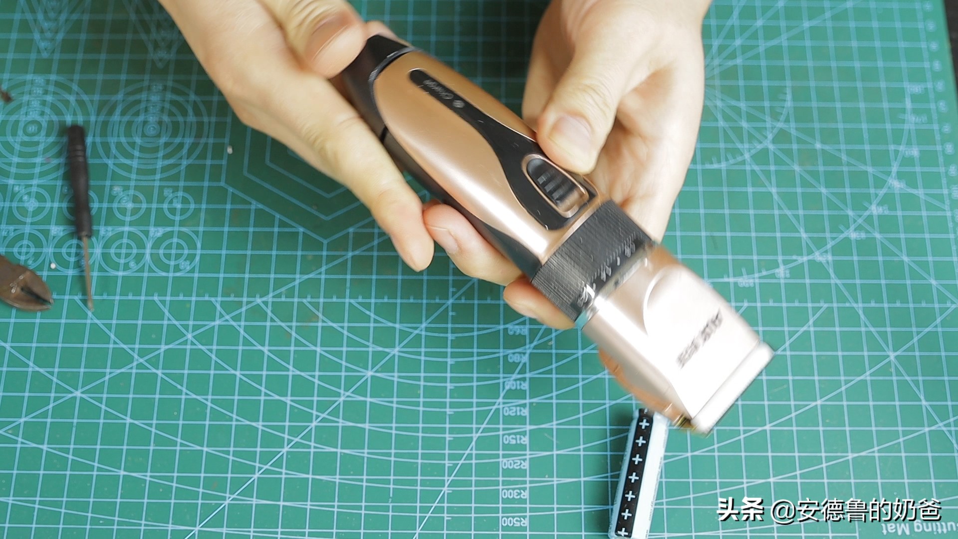 春日vlog完整版,春日vlog竖版