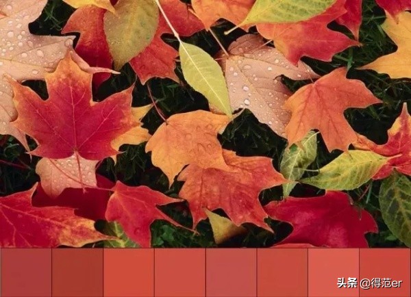 秋冬必买口红mac色号,迪奥口红色号推荐秋冬