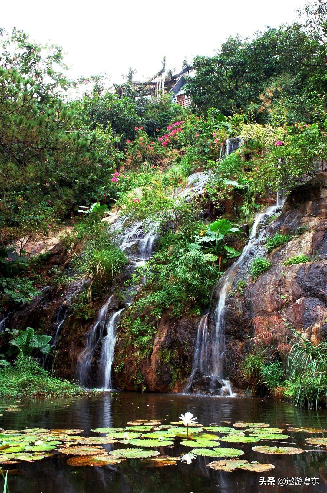 深圳南山区青青世界视频,青青世界深圳热带雨林