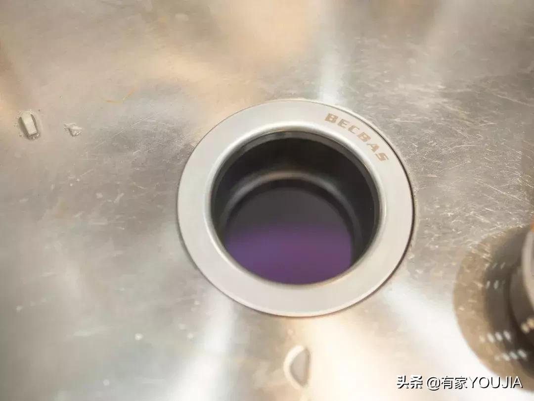 洗碗机和垃圾处理器有必要吗,垃圾处理器需要买品牌吗