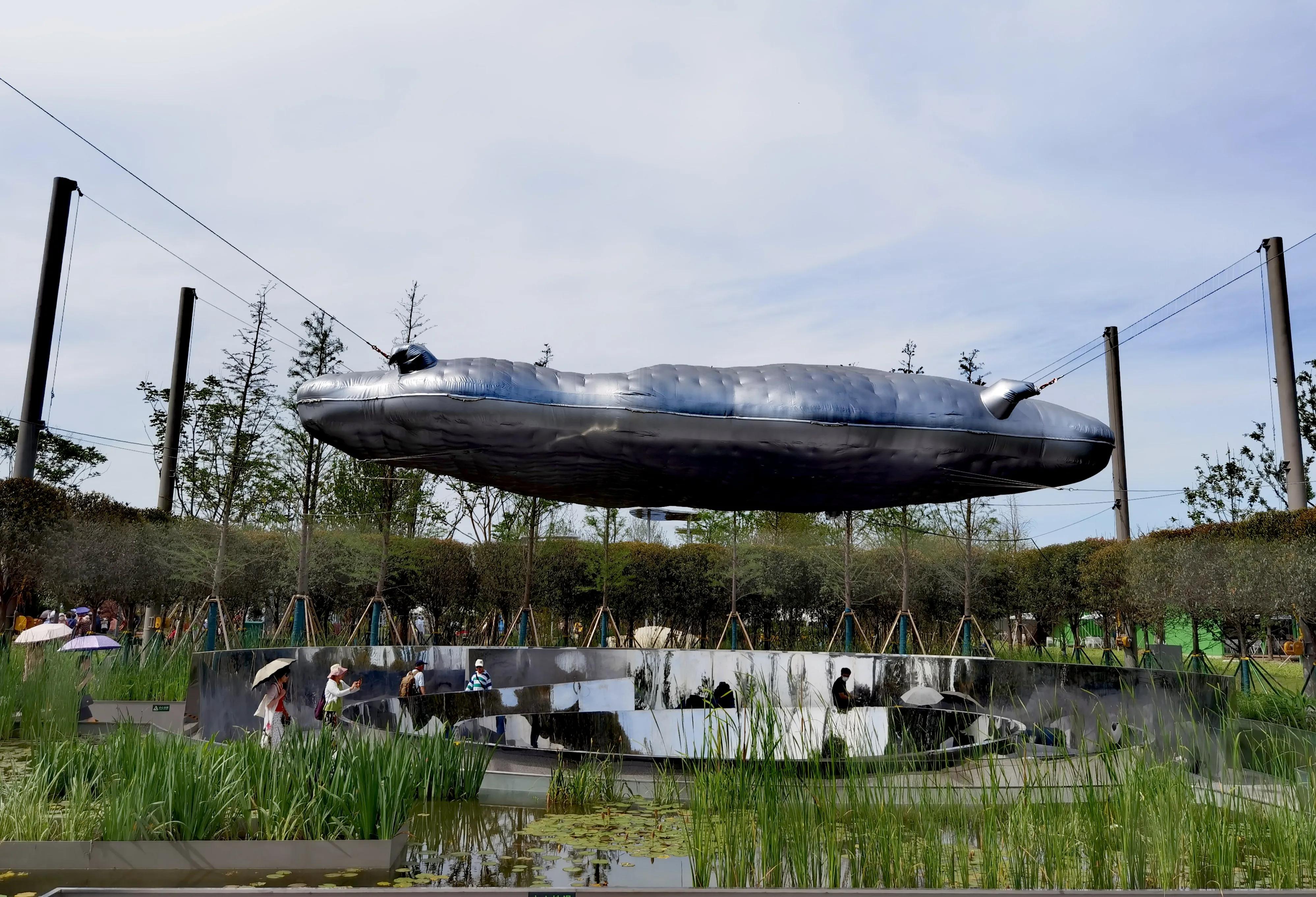 关于崇明花博会,崇明花博会全程花景