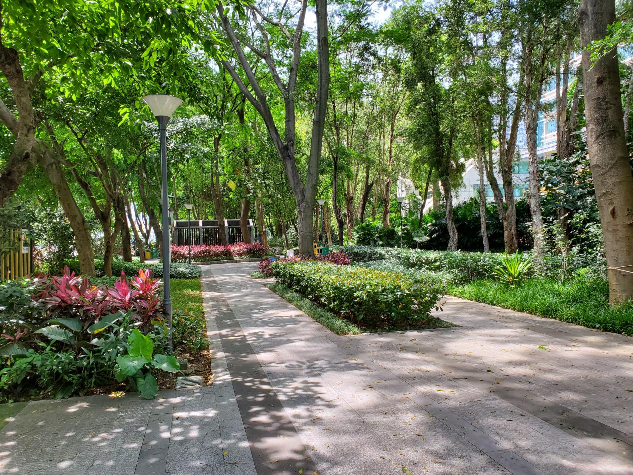 红米k20pro一天实际体验,红米k20pro升级miui12.6稳定版