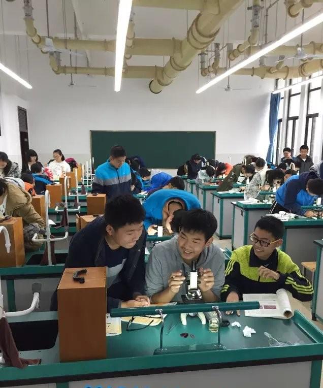 从a到z选择一个字母你会选择哪个,从a到z的成长