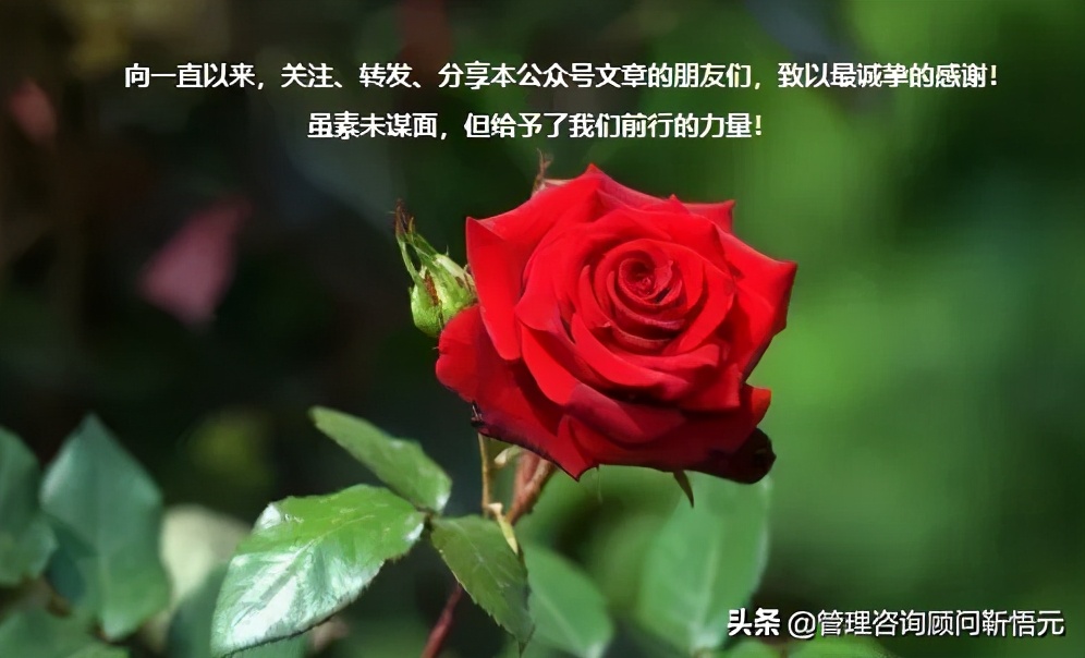 公司采购合同没归档怎么处罚,每年的采购合同归档封面写什么