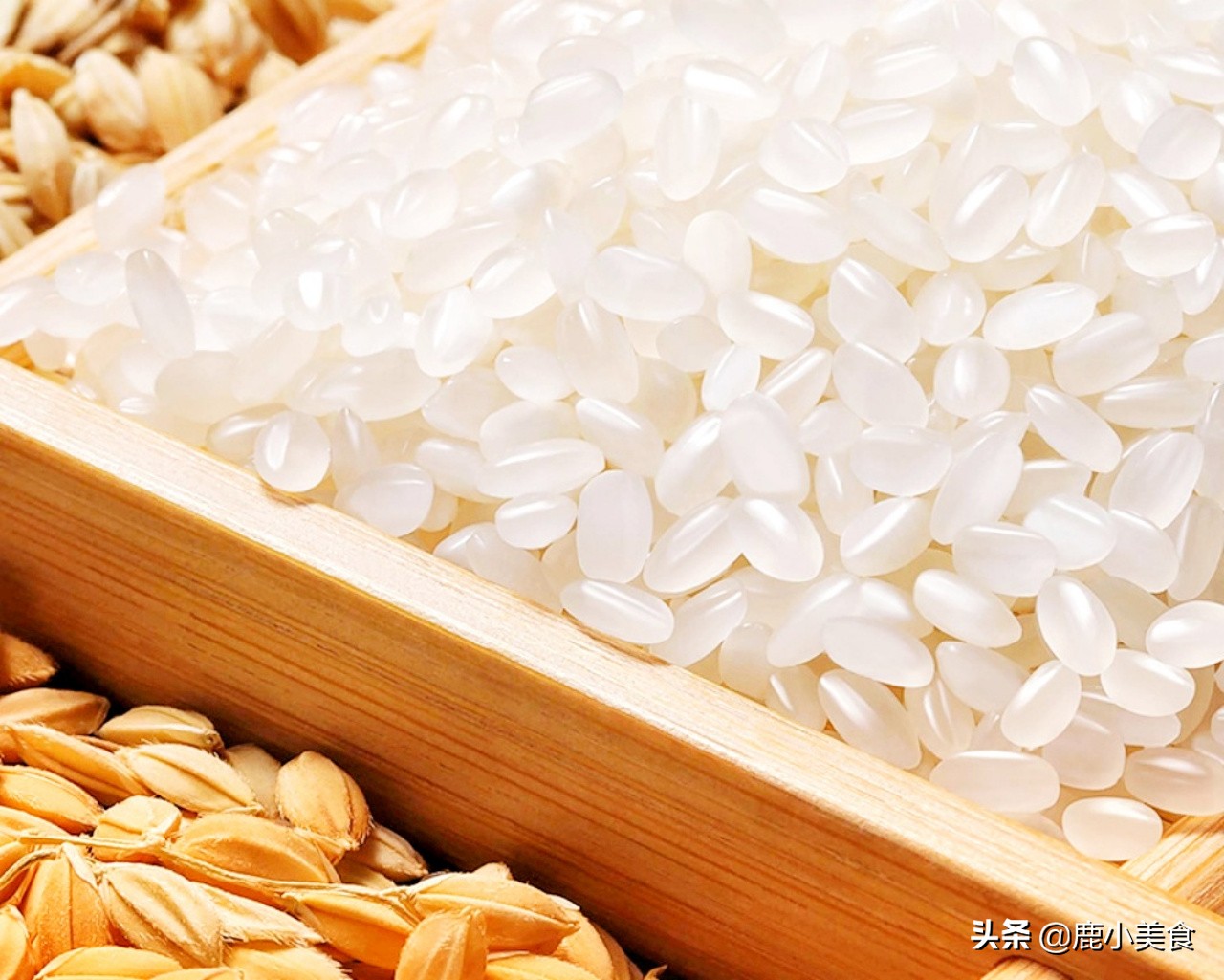 大米有虫子了怎样驱虫,放一年大米不会生虫的小妙招