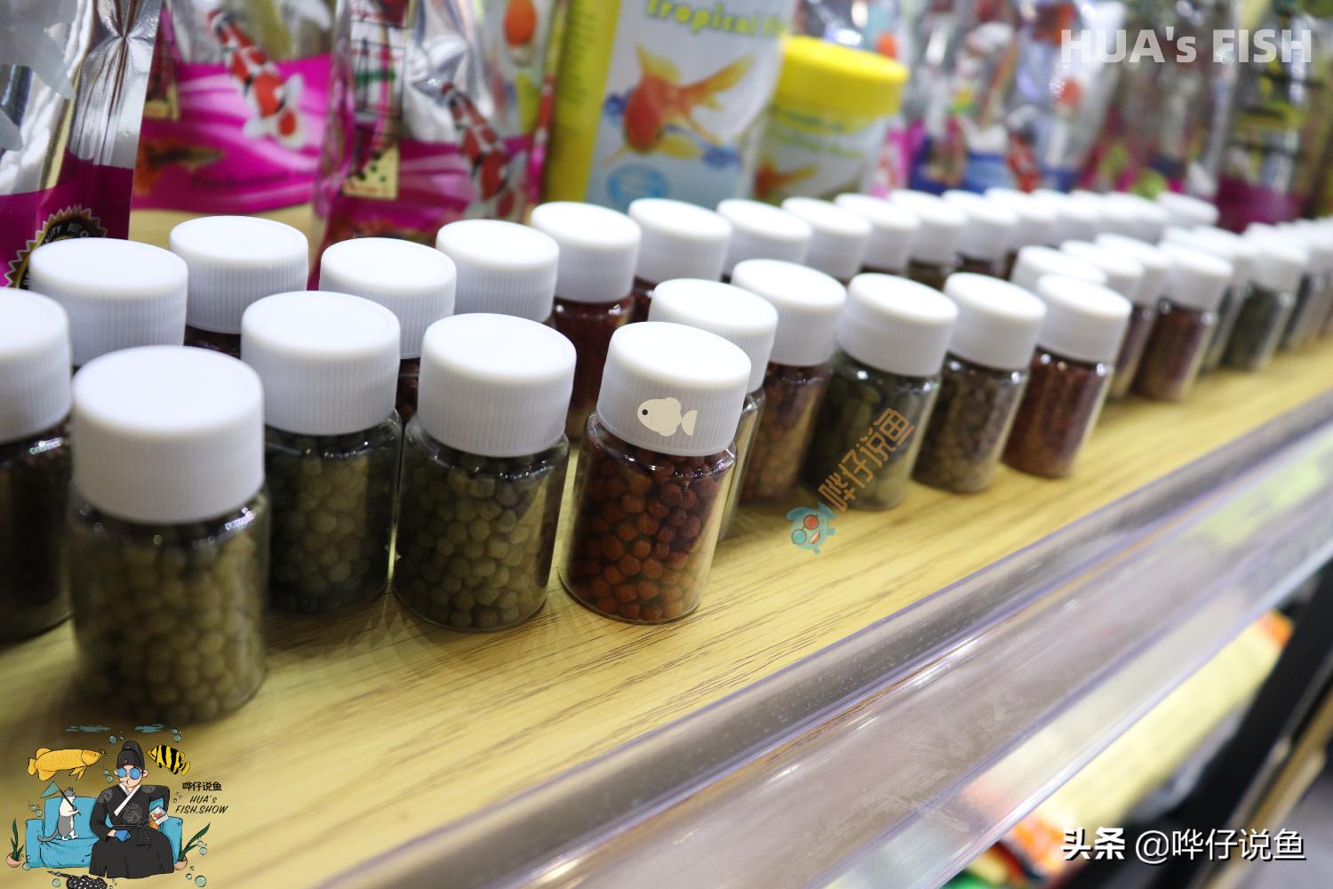 如何选择鱼粮？为观赏鱼选择口粮，有时挺烧脑