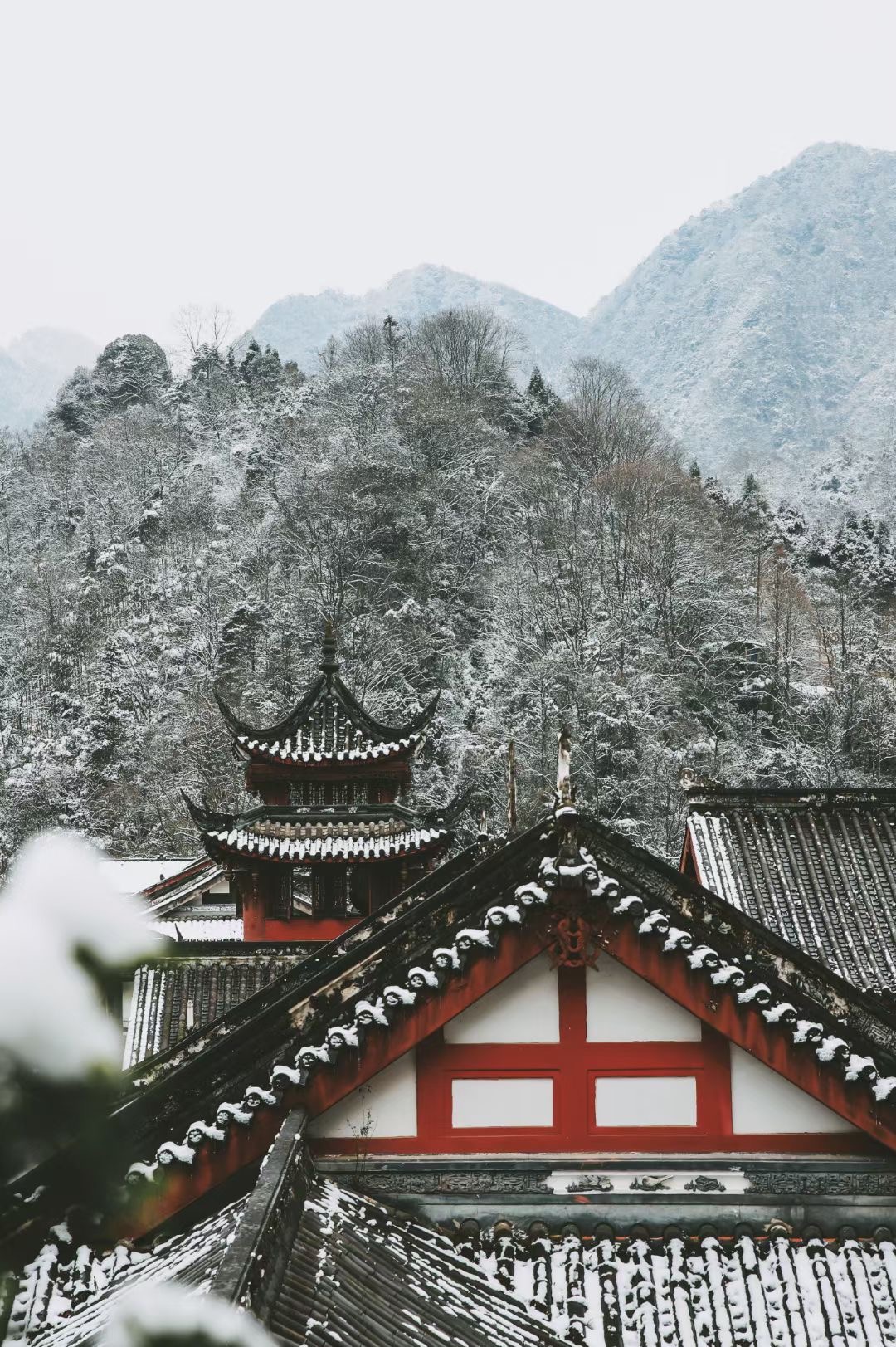 拜道青城山和问道青城山,青城山风景问道