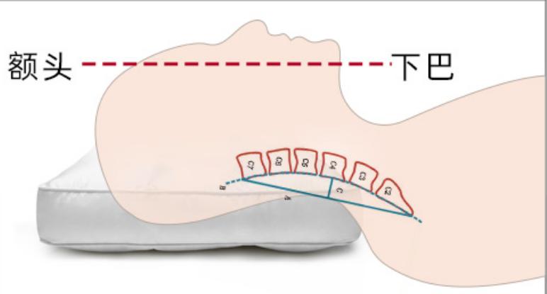 为什么酒店都用羽绒枕,酒店羽绒枕头测评