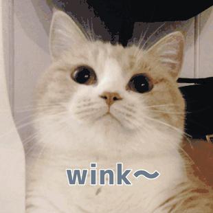 用了这么多韩妆后的感受,那些年用过的鸡肋韩妆你中枪了吗