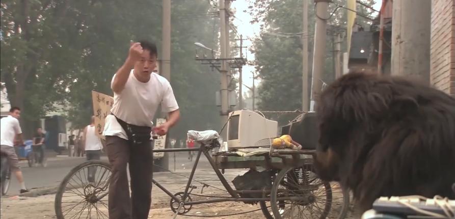 主人想把狗安乐死,主人选择抛弃狗狗