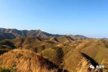 90后童年回忆布谷鸟叫,90后捕鸟