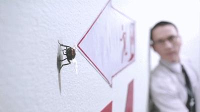 多人围观性侵案,真人秀性侵案