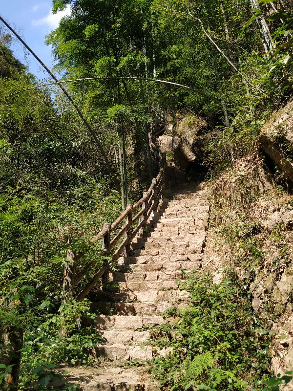 杭州周边徒步最美线路 (杭州最野的徒步路线)
