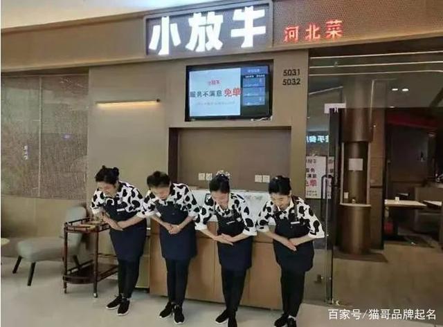 猫哥：餐饮品牌如何起个能招财的好名字？