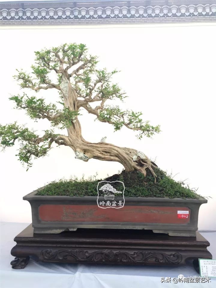 骞哥涔呬箙鐢滅敎铚滆湝,骞哥涔呬箙