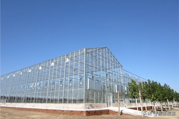 盘点温室大棚的优缺点，看看哪个类型适合你