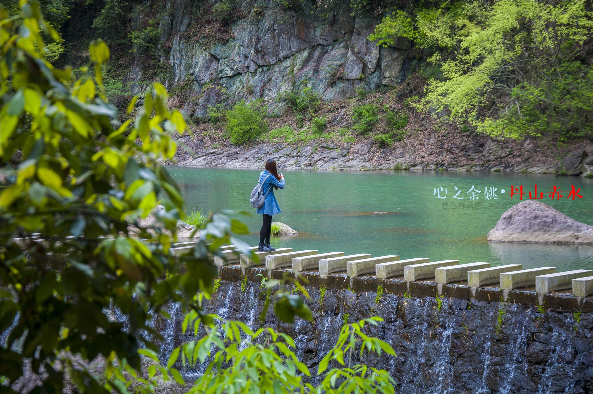 丹山赤水的老柿林景区,丹山赤水柿林古村