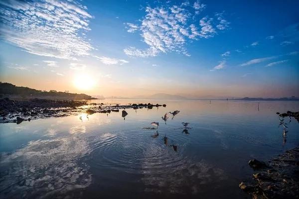 深圳最美最有人气的公园在哪里,深圳最好的十个景区