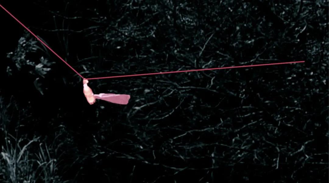 不明飞行物被发现视频,不明飞行物被证实案例