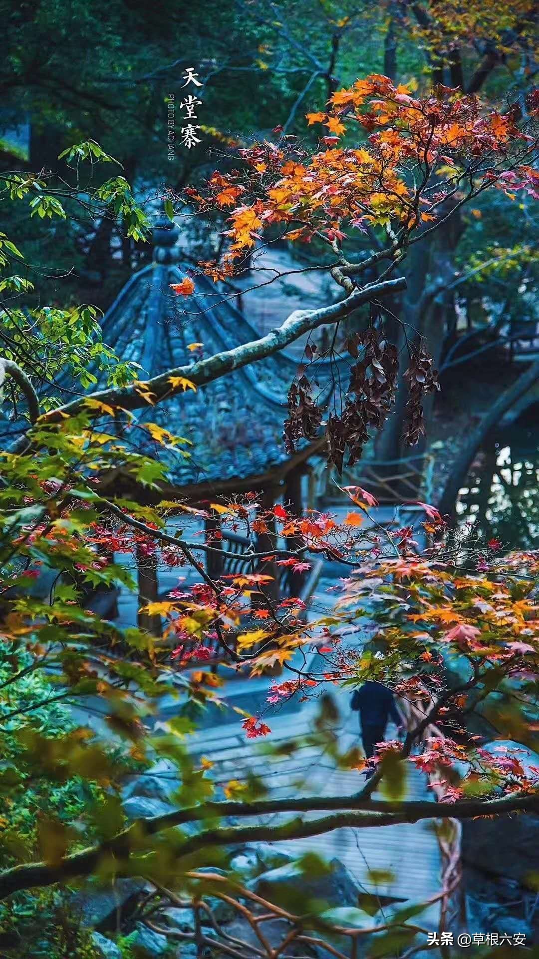 六安属于什么型城市,六安城市发展怎么样