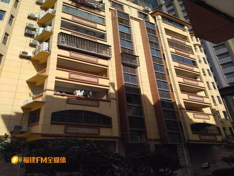 谢女士的遭遇和原因,谢女士崩溃