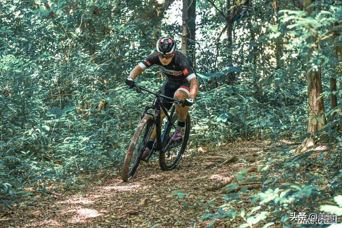 捷安特山地车xtc8002024款评价,捷安特29英寸山地车