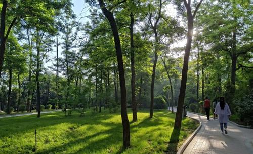 大暑到6种防中暑食物准备好了,大暑防暑温馨提示