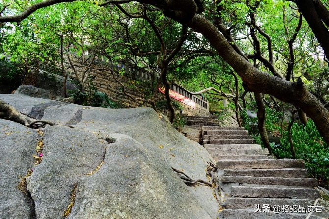 厦门海边之旅,厦门小众旅游体验