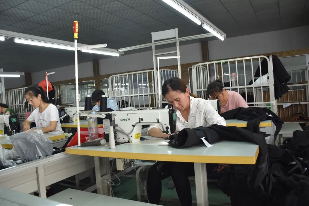 武安市绿色田园现代农业示范园区,武安绿色田园现代农业