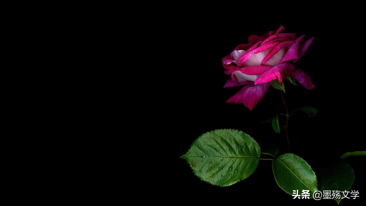 倾诉衷肠悦心间,相逢一笑为红颜