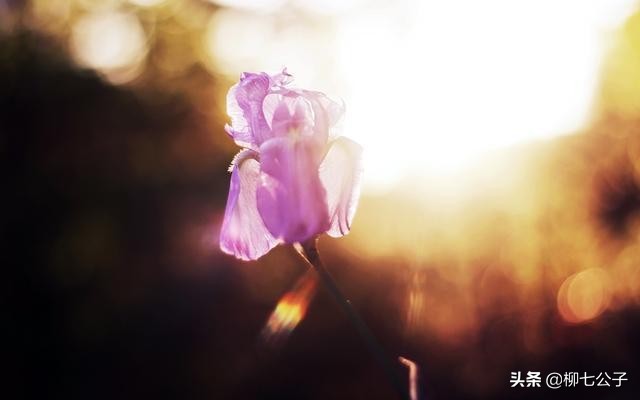 当你被你深爱的人删除了微信、QQ，并拉黑电话，你会怎么办？