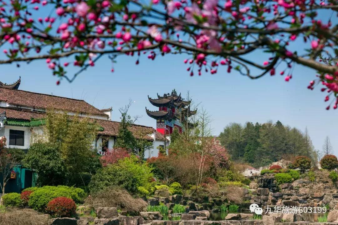 清明假期来九华山旅游,清明去九华山合适吗