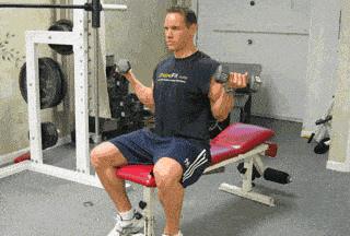 哑铃锻炼肱二头肌的动作有哪些,哑铃怎么锻炼肱二头肌